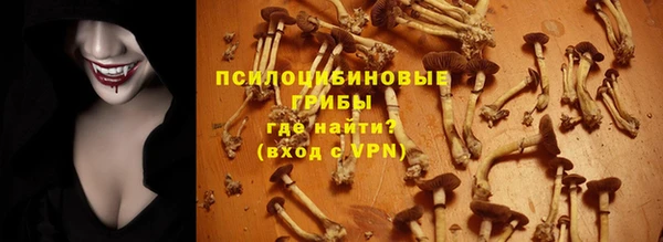 ГАЛЛЮЦИНОГЕННЫЕ ГРИБЫ Алзамай