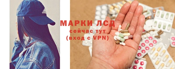ГАЛЛЮЦИНОГЕННЫЕ ГРИБЫ Алзамай