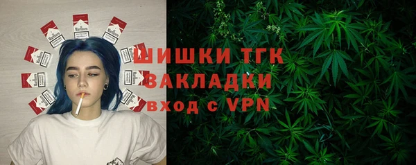 ГАЛЛЮЦИНОГЕННЫЕ ГРИБЫ Алзамай