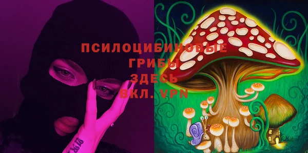 ГАЛЛЮЦИНОГЕННЫЕ ГРИБЫ Алзамай