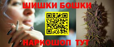 молекула духа Камышлов