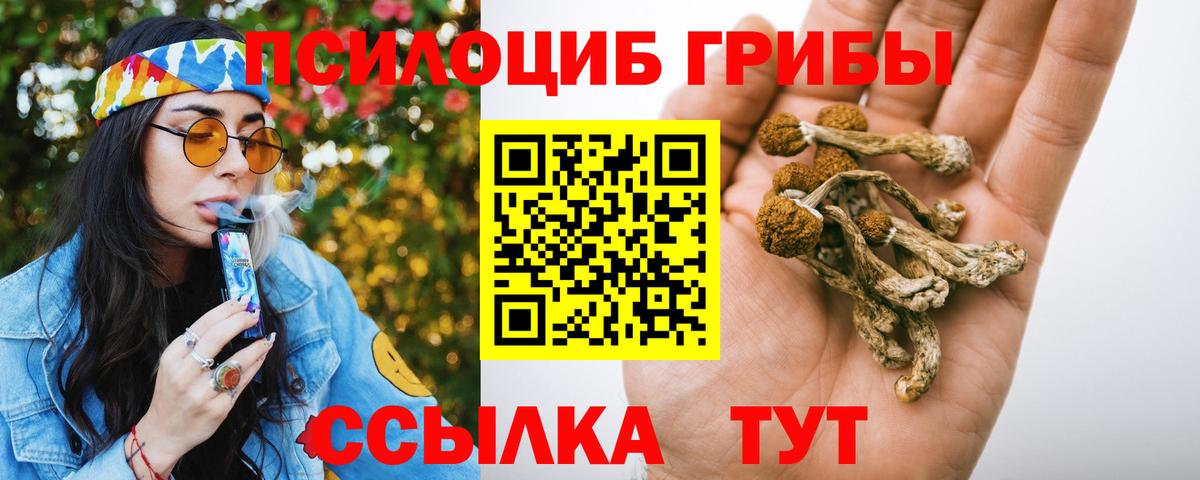 Люберцы  Псилоцибиновые грибы Psilocybe  Вход с VPN 