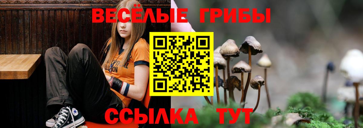 Псилоцибиновые грибы Magic Shrooms Люберцы